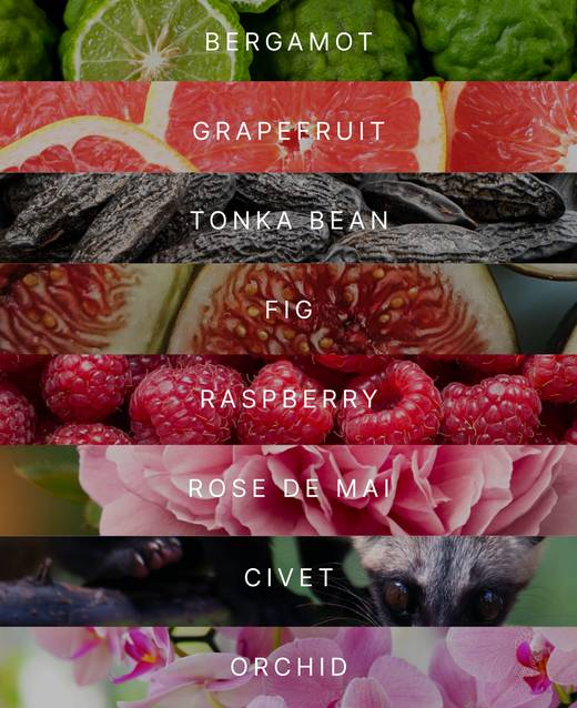 Notes Eau de Amaya: Bergamot, Grapefruit, Tonka Bean, Fig, Raspberry, Rose de Mai, Civet, Orchid