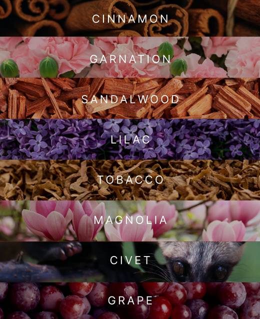 Notes Noir: Cinnamon, Carnation, Sandalwood, Lilac, Tobacco, Magnolia, Civet, Grape